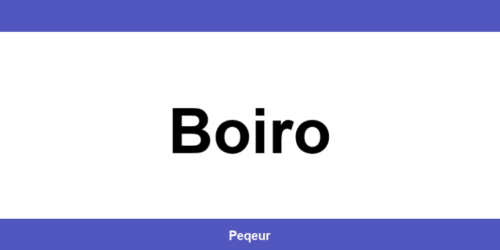 Número de teléfono de la oficina SEUR en Boiro